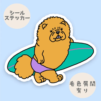 サーファーチャウチャウちゃん。59-8