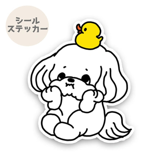 考えてるマルチーズちゃん。109-