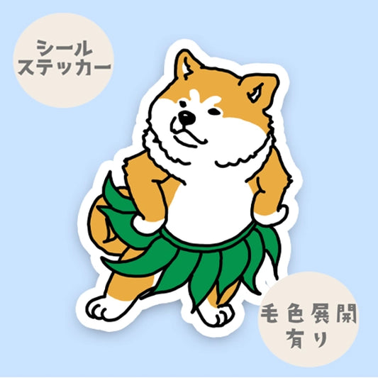 フラアキタイヌさん。3-16