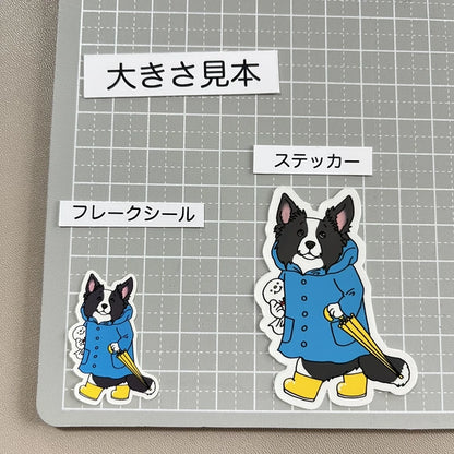 晴れてほしい立ち耳ボーダーコリーさん。106-