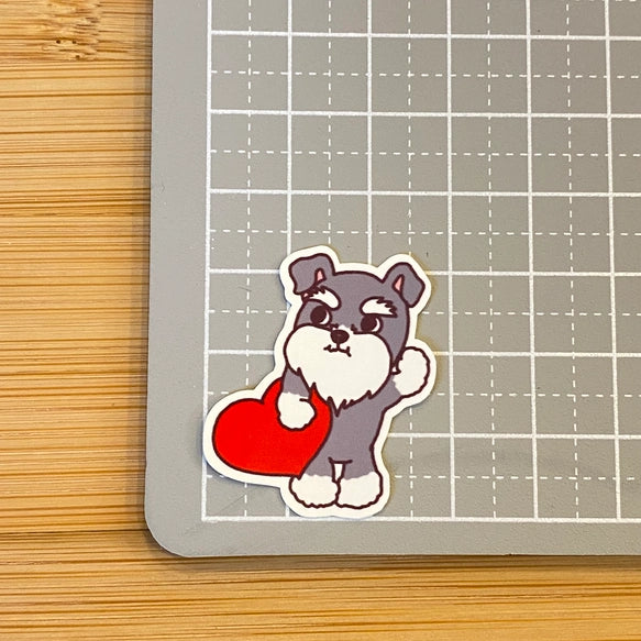 おおきなハートを届けにきたシュナウザーちゃん。44-20