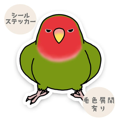 カゴに戻りたくないコザクラインコちゃん。