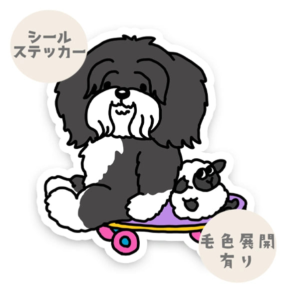 遊べるの待ってるチベタンテリアちゃん。56-2