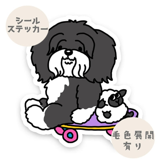 遊べるの待ってるチベタンテリアちゃん。56-2