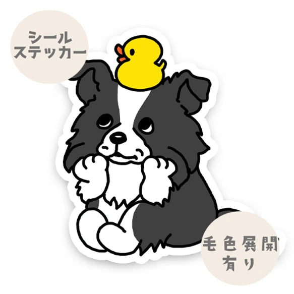 タイクツなボーダーコリーちゃん。106-