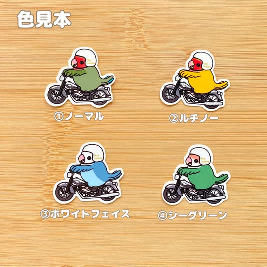 コザクラインコちゃんのツーリング。