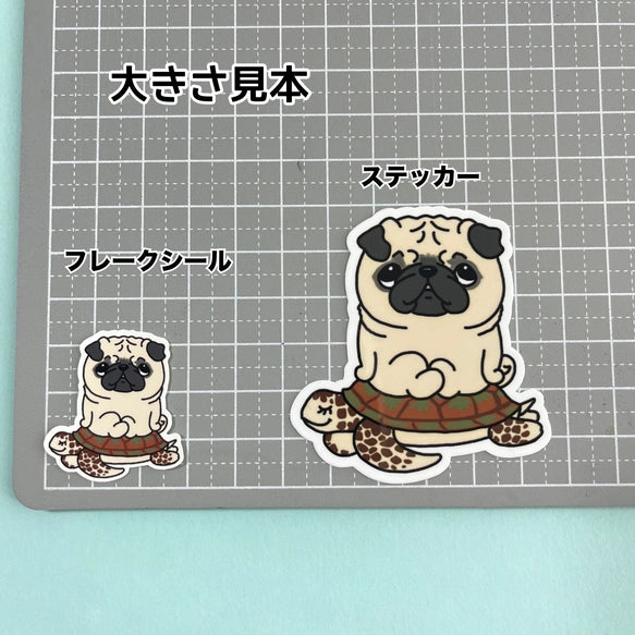 ウミガメさんに乗ったパグちゃん。76-