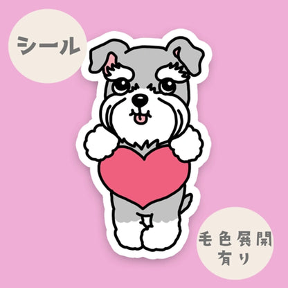 シュナウザーちゃんのきもち。44-29