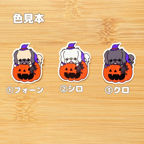 オバケカボチャとペキニーズちゃん。97-