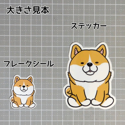 おすわりしてるシバちゃん。39-2