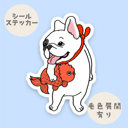 ランチュウがお気に入りのフレブルちゃん。96−130