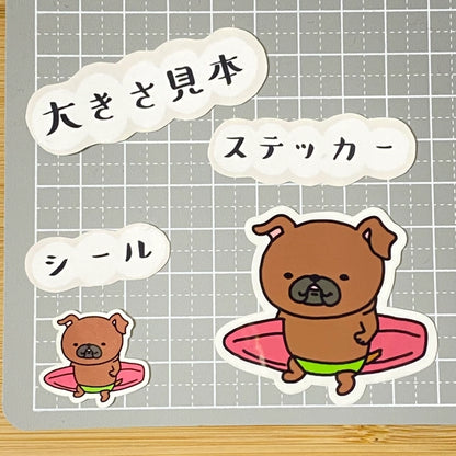 かわいいサーファープチブラバンソン。86-