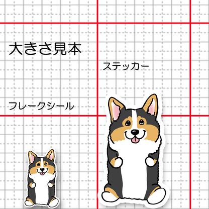 おすわりしてるコーギーちゃん。15-2