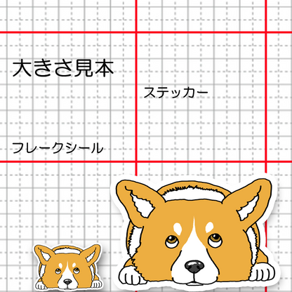待ってるコーギーちゃん。15-8