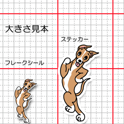 走るよ！ウィペットさん。13-3