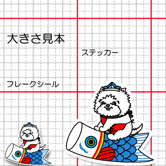 端午の節句のウェスティちゃん。14-17