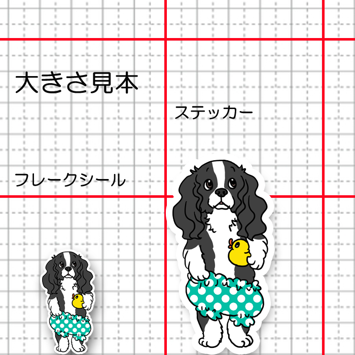 おパンツイングリッシュスプリンガーちゃん。11-7
