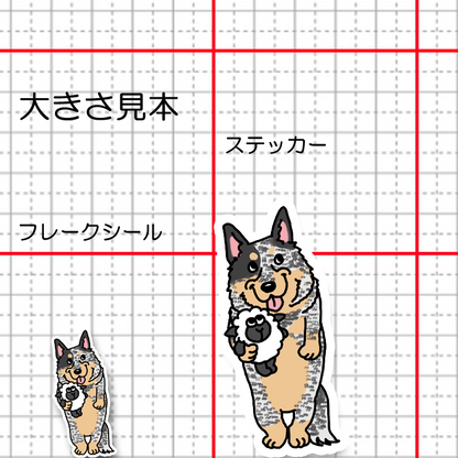おりこうさんで待ってるオーストラリアンキャトルドッグちゃん。19-2
