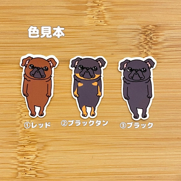たずむプチブラバンソンちゃん。86-