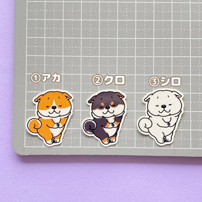 ヨロコビを隠し切れないシバちゃん。39-5