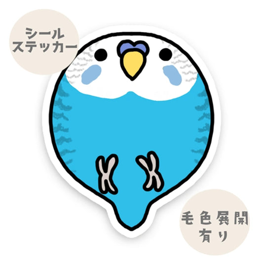 コロコロセキセイインコちゃん。