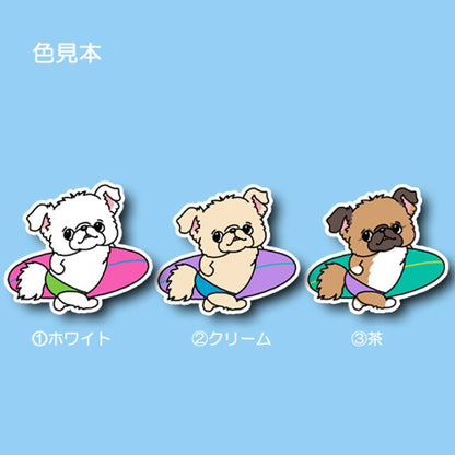 サーファーチワペキちゃん。62-9