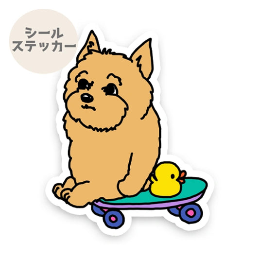 誰か来ないかなーって待ってるノーリッチテリアちゃん。74-