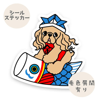 アメコカちゃんの端午の節句。5-8