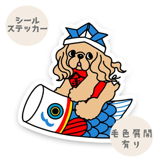 アメコカちゃんの端午の節句。5-8