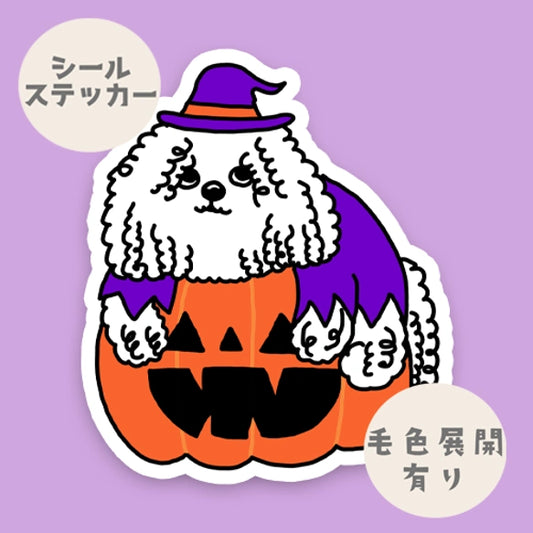 オバケカボチャとプーリーちゃん。89-