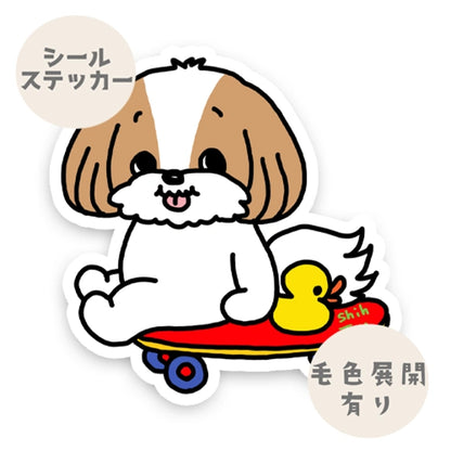 誰かと遊べるのを待ってるシーズーちゃん。35-6
