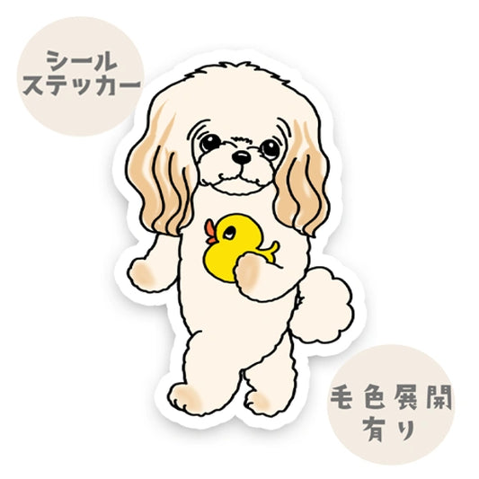 お気に入りのアヒルさんとチワプーちゃん。61-1