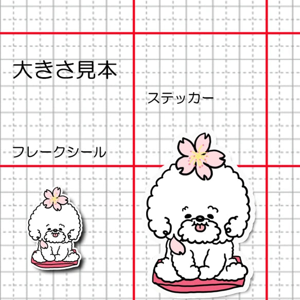 ビションフリーゼちゃんの春のご挨拶。 84-