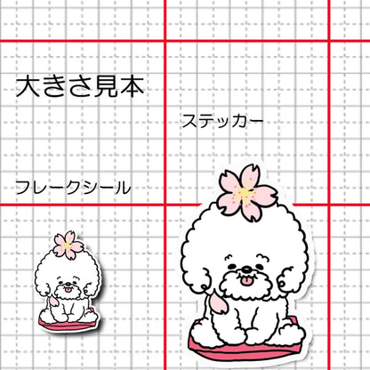 ビションフリーゼちゃんの春のご挨拶。 84-