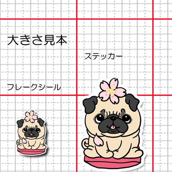 パグちゃんの春のご挨拶。76-
