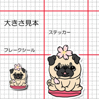 パグちゃんの春のご挨拶。76-
