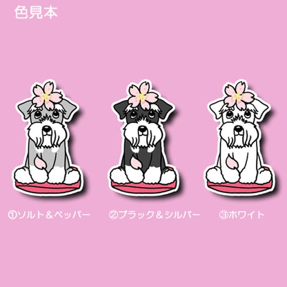 シュナウザーちゃんの春のご挨拶。44-9