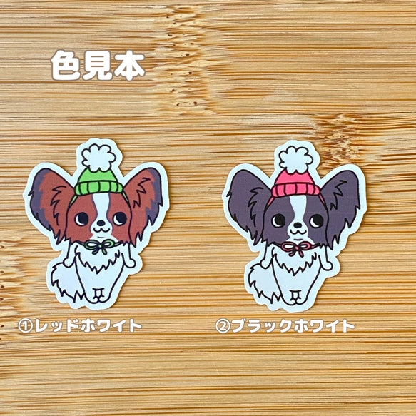 ポンポンパピヨンちゃん。80-