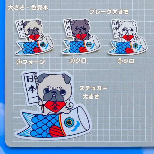 パグちゃんの端午の節句。76-