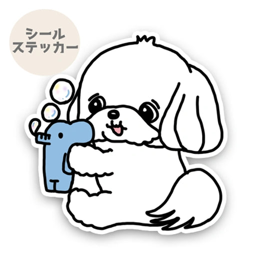 シャボン玉で遊ぶマルチーズちゃん。109-