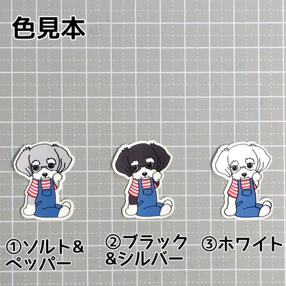 サロペットがかわいいシュナちゃん。44-4