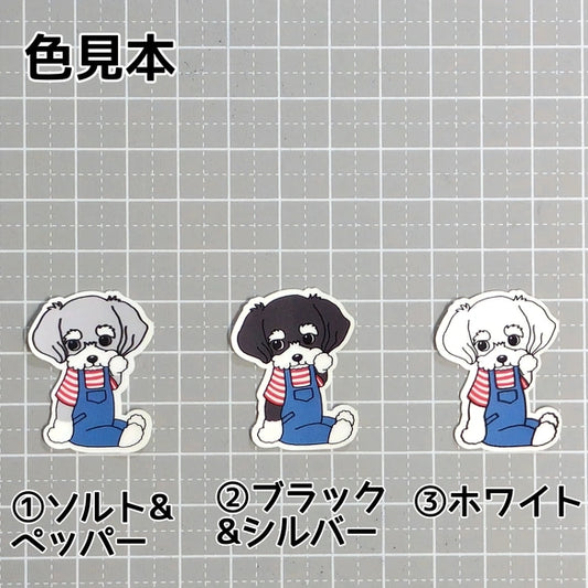 サロペットがかわいいシュナちゃん。44-4
