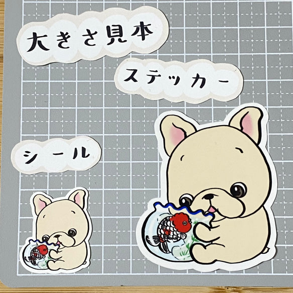 金魚鉢とフレブルちゃん。96−154