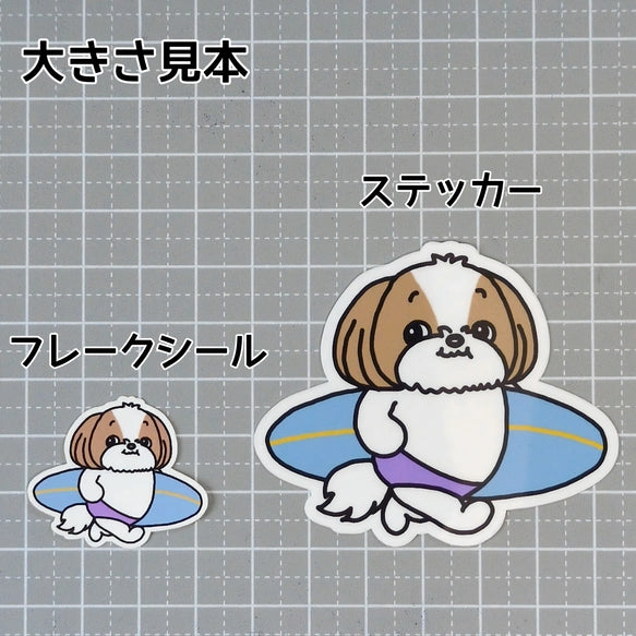 サーファーシーズーちゃん。35-19