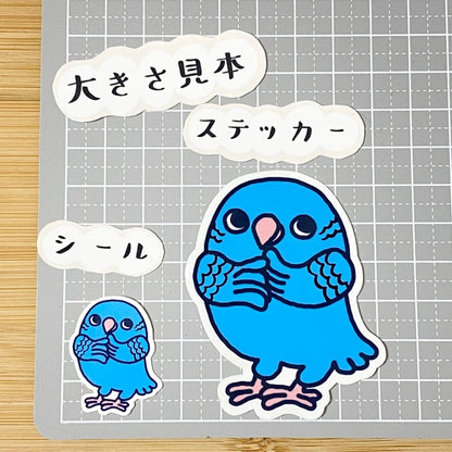 かわいいサザナミインコちゃん。