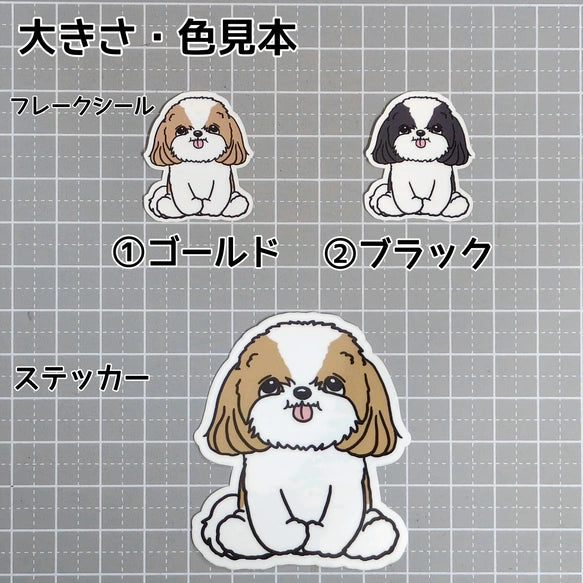 おすわりしてるシーズーちゃん。35-7