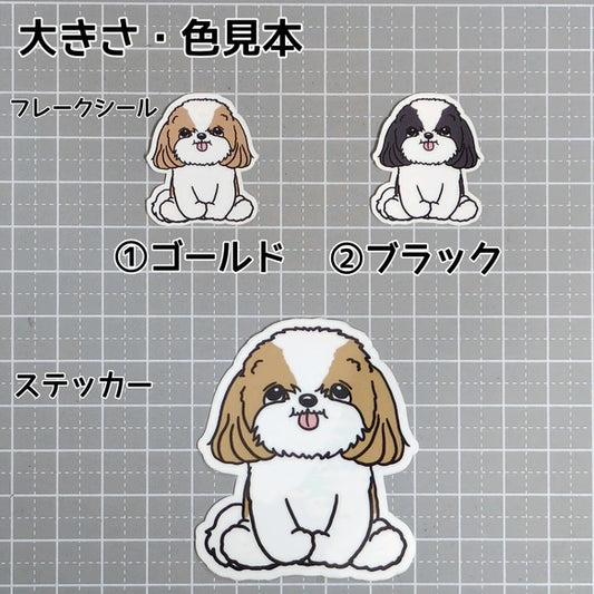 おすわりしてるシーズーちゃん。35-7