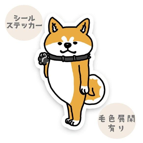 ヤッホー♪って待っててくれたアキタイヌ。3-6