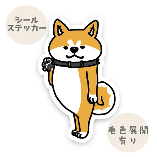 ヤッホー♪って待っててくれたアキタイヌ。3-6