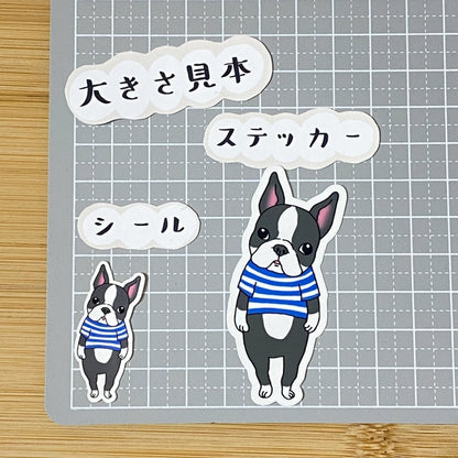 ボストンテリアさん。101-